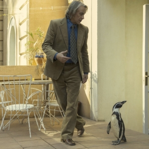 THE PENGUIN LESSONS Sets March Release Date with Sony Pictures Classics Photo