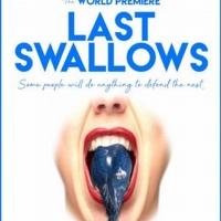 Pandelia's Canary Yellow Company Presents the World Premiere of LAST SWALLOWS Photo