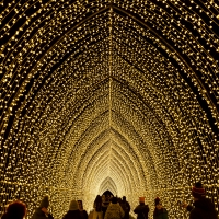 Lightscape Opens This Month At Brooklyn Botanic Garden