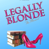 Salem Central School to Present LEGALLY BLONDE THE MUSICAL This Month Photo