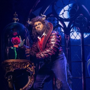 Review: DISNEY'S BEAUTY AND THE BEAST at Broadway At The Hobby Center Photo