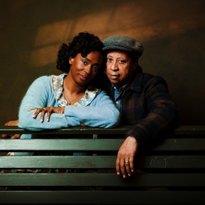 Cast Set for August Wilsons FENCES at Alley Theatre Photo
