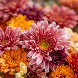 Student Blog: The Beauty of Rediscovery: Theatre, Journalism, and Me Photo