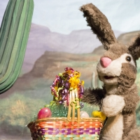 See the Show Now Playing At and Coming Soon To Great AZ Puppet Theater