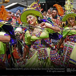 DANCE PARADE NYC to Present 20th Annual Celebration of Dance and Advocacy in May Photo