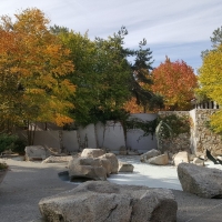Seattle Center Seeks Input To Design The Future Of Dupen Fountain