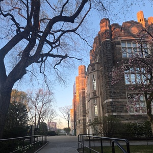 Student Blog: The Sun as Your Spotlight