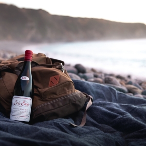 Summer WINE TIME with Sea Sun Vineyards, Emmolo Wines and Mer Soleil Wines