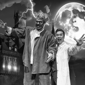 Previews: YOUNG FRANKENSTEIN at Davis Musical Theatre Company