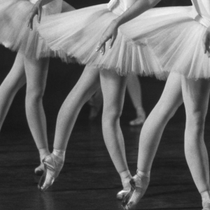 NYC Ballet Cancels 'See the Music' Events