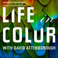 VIDEO: Watch the Trailer for LIFE IN COLOR WITH DAVID ATTENBOROUGH