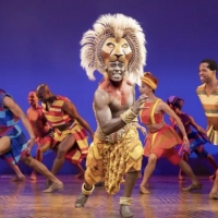 Video Roundup: Check Out Our 10 Favorite Disney Parodies from THE LION KING, ALADDIN, Photo