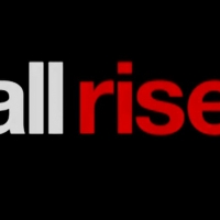 OWN Network Picks Up Third Season of ALL RISE Photo