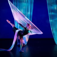 Amanda Selwyn Dance Theatre to Present Fall 2022 Open Rehearsal Featuring HABIT FORME Video
