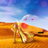 BWW Review: PRISCILLA, QUEEN OF THE DESERT at Crown Theatre Photo