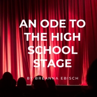 Student Blog: An Ode to the High School Stage
