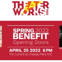 Daphne Rubin-Vega & More to be Honored at TheaterWorksUSA Benefit  Photo