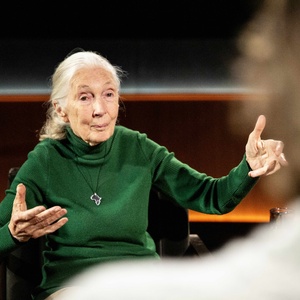 Netflix Debuts FAMOUS LAST WORDS Featuring Jane Goodall Photo