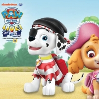 ﻿PAW PATROL LIVE THE GREAT PIRATE ADVENTURE is Coming to Greenville Photo