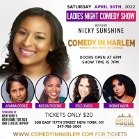 Nicky Sunshine Hosts Ladies Night Comedy Show at Comedy In Harlem Photo