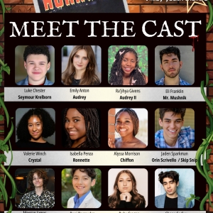 VYT to Present LITTLE SHOP OF HORRORS At Herberger Theater Center Photo