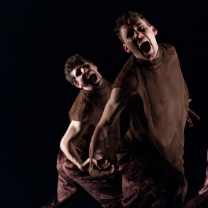 Review: Gibney Company Lets Art be Art Interview