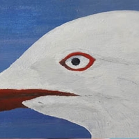 The Silver Gull Play Award Finds New Home At New Theatre Video