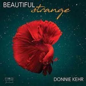 Donnie Kehr to Debut BEAUTIFUL STRANGE Live at The Cutting Room in June Photo