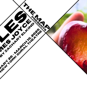 The MAP Theater to Present Revival of EXILES by James Joyce in February