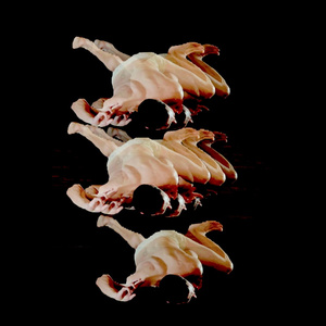 STATES: OBSERVATION to Premiere at 3AM Theatre Photo