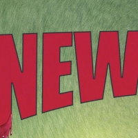 Listen: Ann Harada, Deb Radloff and Devin Illaw Perform the Title Song from THE NEW…