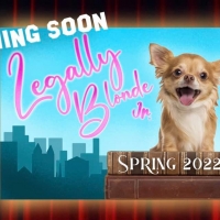 Audition Now for LEGALLY BLONDE JR. in Orlando Photo