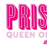 Mercury Theater Chicago Announces Cabaret Production Of PRISCILLA, QUEEN OF THE DESER Video