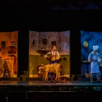 BWW Review: INTO THE WOODS at Resident Theatre Co Photo
