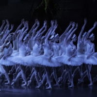  Dutch National Ballet Announces 2022-2023 Season Photo