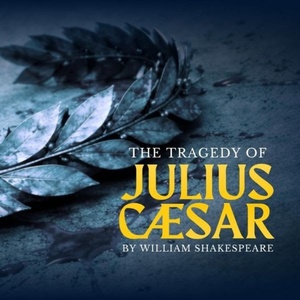 Cast Set for THE TRAGEDY OF JULIUS CAESAR at New York Classical Theatre Photo