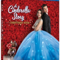A CINDERELLA STORY: CHRISTMAS WISH Will be Released on Digital and Blu-ray This Octob Photo
