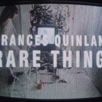 Frances Quinlan Paints Her Way Through 'Rare Thing' Video Video