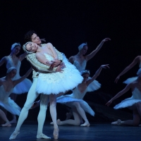 BWW Review: ENGLISH NATIONAL BALLET - SWAN LAKE, Liverpool Empire