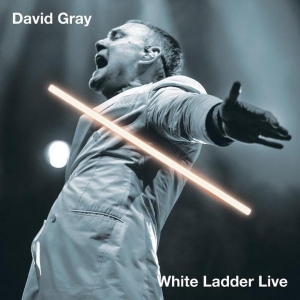 David Gray Celebrates His Landmark 'White Ladder: 20th Anniversary' Tour With the Rel Photo