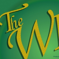 Star Center Theatre Cancels Performances of THE WIZ After Cast Member is Exposed to C Photo