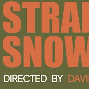 David Newer Will Direct Stephen Metcalfes STRANGE SNOW at Ivy Crest Theatre Co. Photo