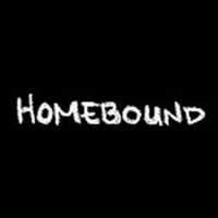BWW Video: Episode Seven of Round House Theatre's Webseries Homebound Photo