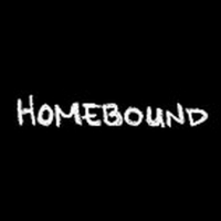 BWW Video: Episode Seven of Round House Theatre's Webseries Homebound Video