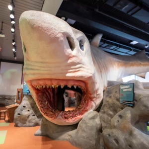 August Brings Blockbusters, Dinosaurs, and Gabby’s Dollhouse to The Museum Of Discov Photo