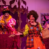 FOUR DAMES IN SEARCH OF A PANTO Opens at Theatre Royal Winchester Video