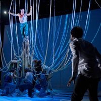 BWW Review: A MONSTER CALLS, Rose Theatre Photo