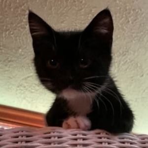 Student Blog: Take a Break Photo