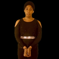 Performance Installation NEGATIVE LIBERTY/POSITIVE LIBERTY Premieres in March