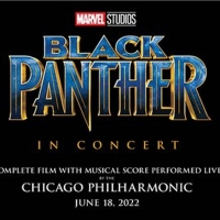 Chicago Philharmonic Presents Marvel's BLACK PANTHER Photo